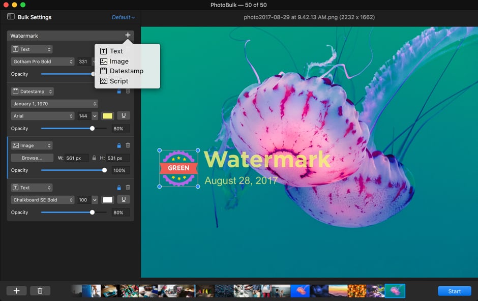 Watermark Watermark